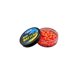 #7292 wafcesJAH