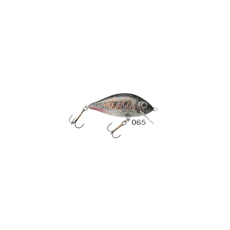 #2157 crucian_065