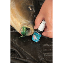 #4268 2698-carp_doctor_ilu