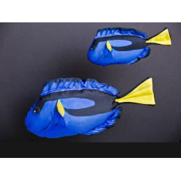 #2181 dory_trnovec_pestry