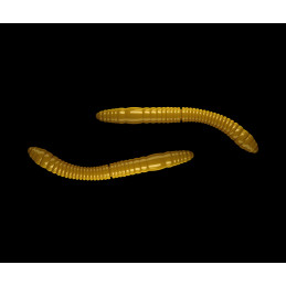 #5219 fatty-d-worm-55-036-coffee-milk