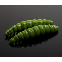 #5328 larva-30-031-olive