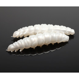 #5323 larva-30-004-silver-pearl